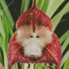 Monkey Orchid Diamond Painting