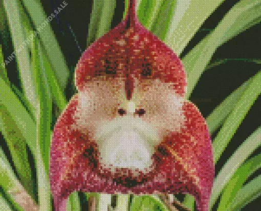 Monkey Orchid Diamond Painting