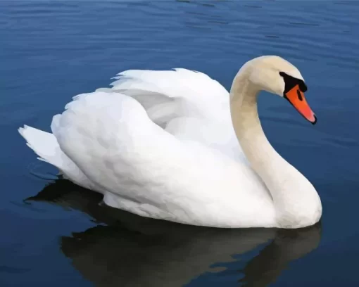 Mute Swan Diamond Painting