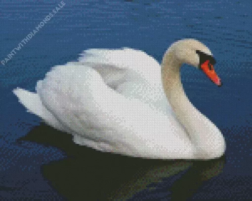 Mute Swan Diamond Painting