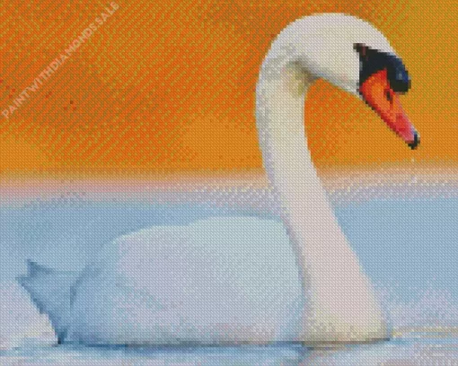 Mute Swan Bird Diamond Painting