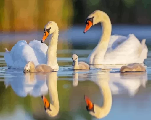 Mute Swan Couple Diamond Painting