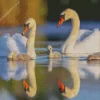 Mute Swan Couple Diamond Painting