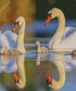 Mute Swan Couple Diamond Painting