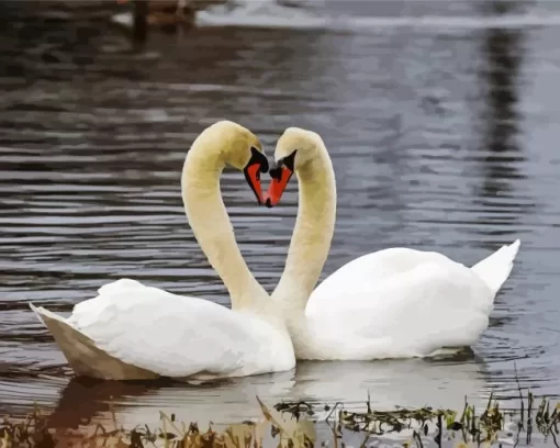 Mute Swan Pair Diamond Painting