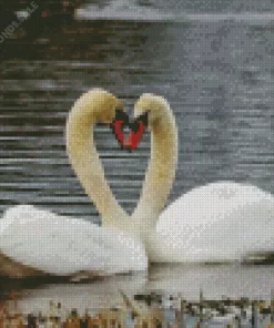 Mute Swan Pair Diamond Painting