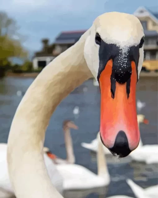 Mute Swan Close Up Diamond Painting