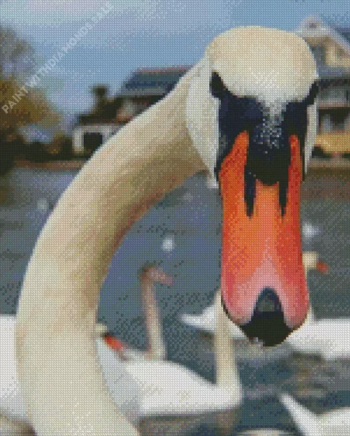 Mute Swan Close Up Diamond Painting