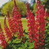 My Castle Red Lupine Plant Diamond Painting