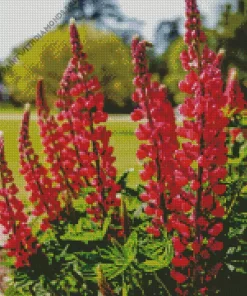 My Castle Red Lupine Plant Diamond Painting