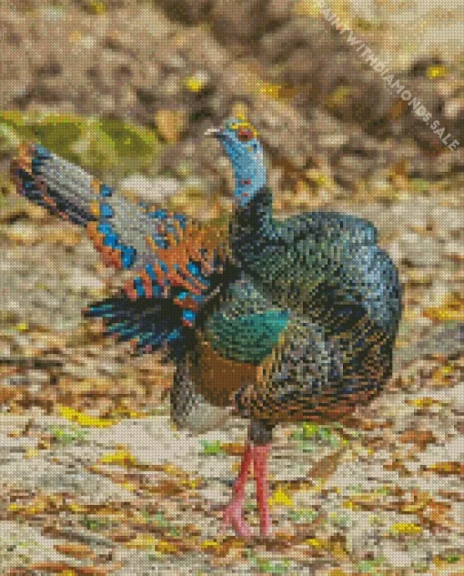 Ocellated Turkey Diamond Painting