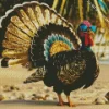 Ocellated Turkey Art Diamond Painting