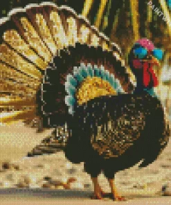 Ocellated Turkey Art Diamond Painting