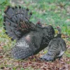 Ocellated Turkey Pair Diamond Painting