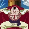 One Piece Whitebeard Diamond Paintings