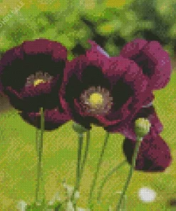 Opium Poppies Diamond Painting