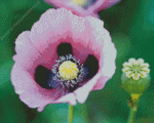 Opium Poppy Diamond Painting