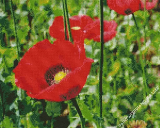 Opium Red Poppy Diamond Painting