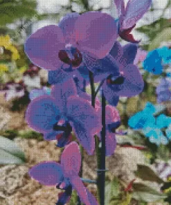 Orchids Diamond Painting