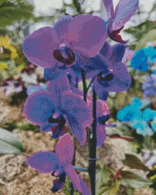 Orchids Diamond Painting