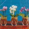 Orchids In Pots Diamond Painting