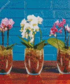 Orchids In Pots Diamond Painting