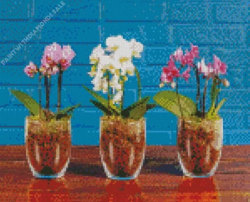 Orchids In Pots Diamond Painting