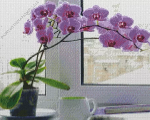 Orchids In Vase Diamond Painting