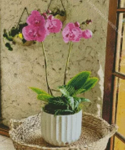 Orchids Plant Diamond Painting