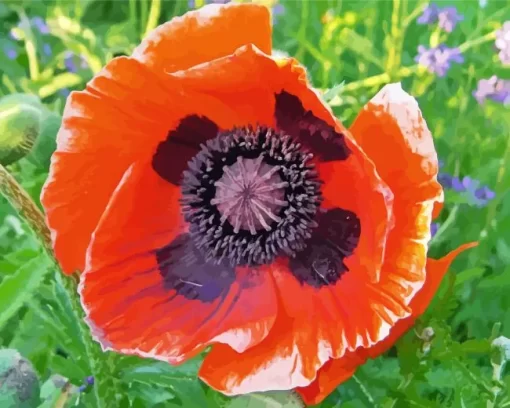 Oriental Poppy Flower Diamond Painting