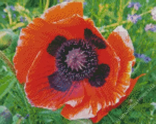 Oriental Poppy Flower Diamond Painting