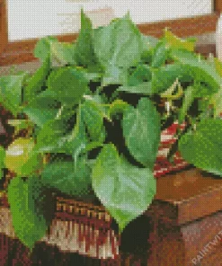 Philodendron Plants Diamond Painting