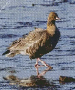 Pink Footed Geese Diamond Painting