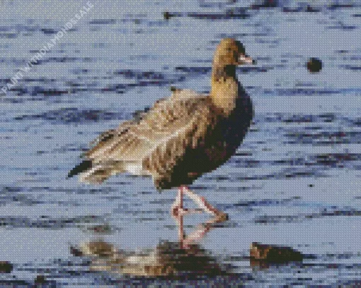 Pink Footed Geese Diamond Painting