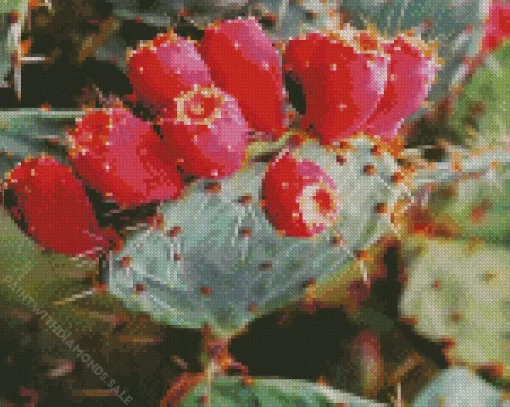 Prickly Pear Cactus Diamond Painting