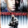 Prison Break Poster Diamond Paintings