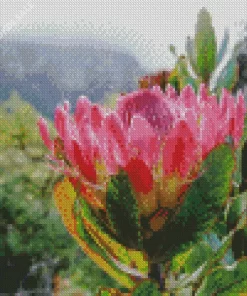 Protea Diamond Painting