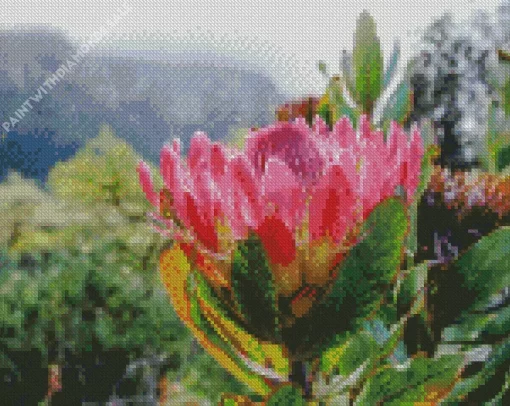 Protea Diamond Painting