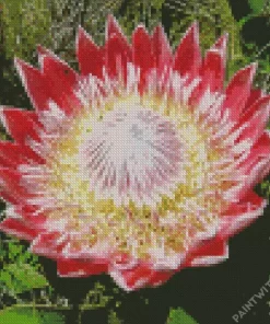 Protea Cynaroides Diamond Painting