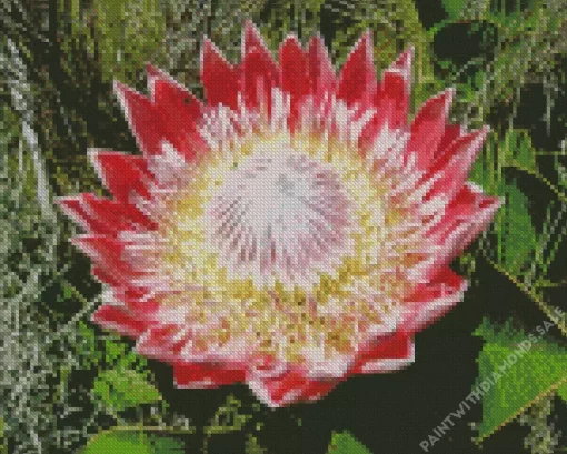 Protea Cynaroides Diamond Painting