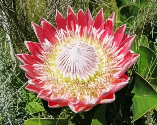 Protea Cynaroides Diamond Painting