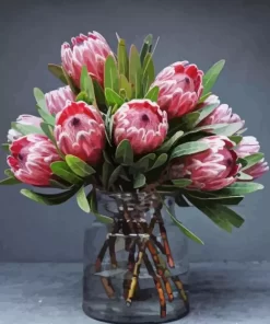 Protea In Jar Diamond Painting