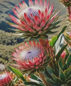 Protea Plants Diamond Painting