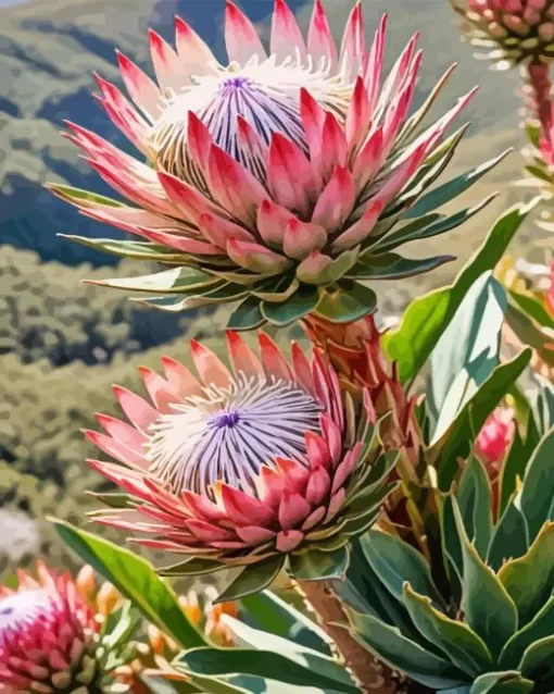 Protea Plants Diamond Painting