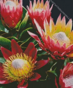 Proteas Plants Diamond Painting