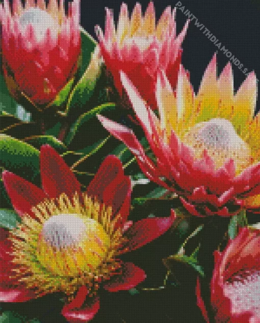 Proteas Plants Diamond Painting