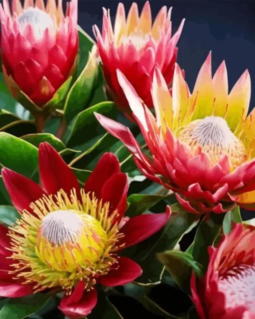 Proteas Plants Diamond Painting