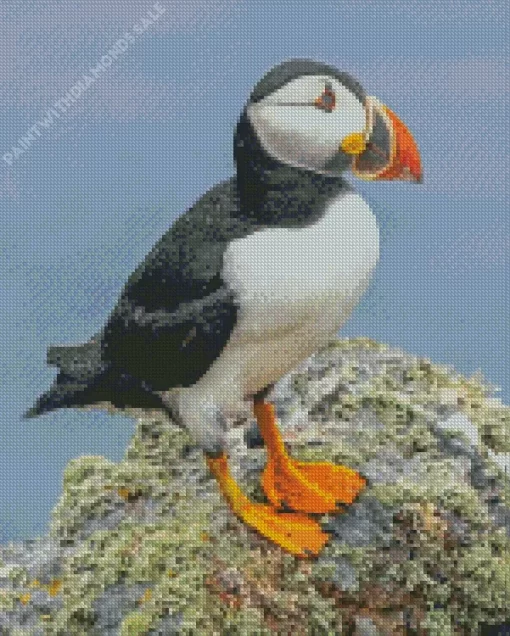 Puffins Diamond Painting