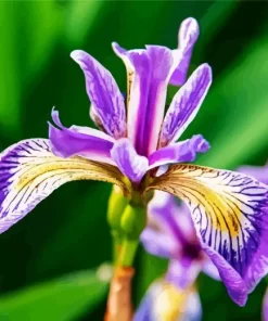 Purple Iris Flower Plant Diamond Painting