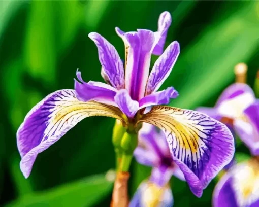 Purple Iris Flower Plant Diamond Painting